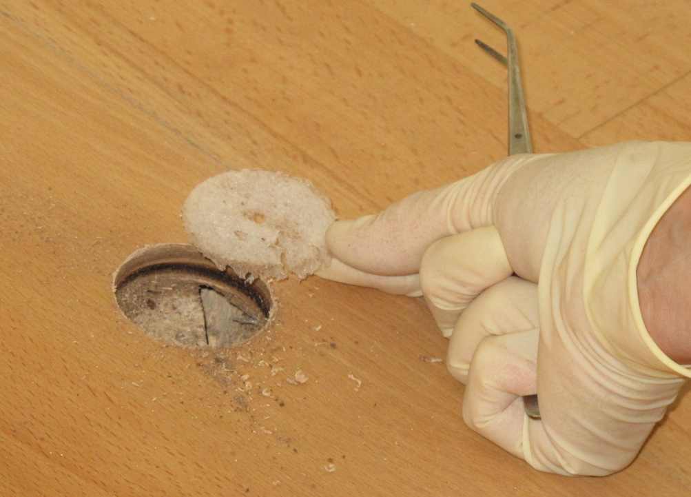 Schimmel Laboruntersuchung Probenahme